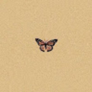 Meet your Posher, Kami